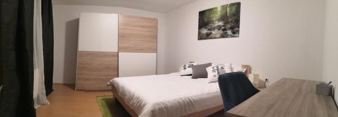 Apartmaji Sofia マリボル エクステリア 写真