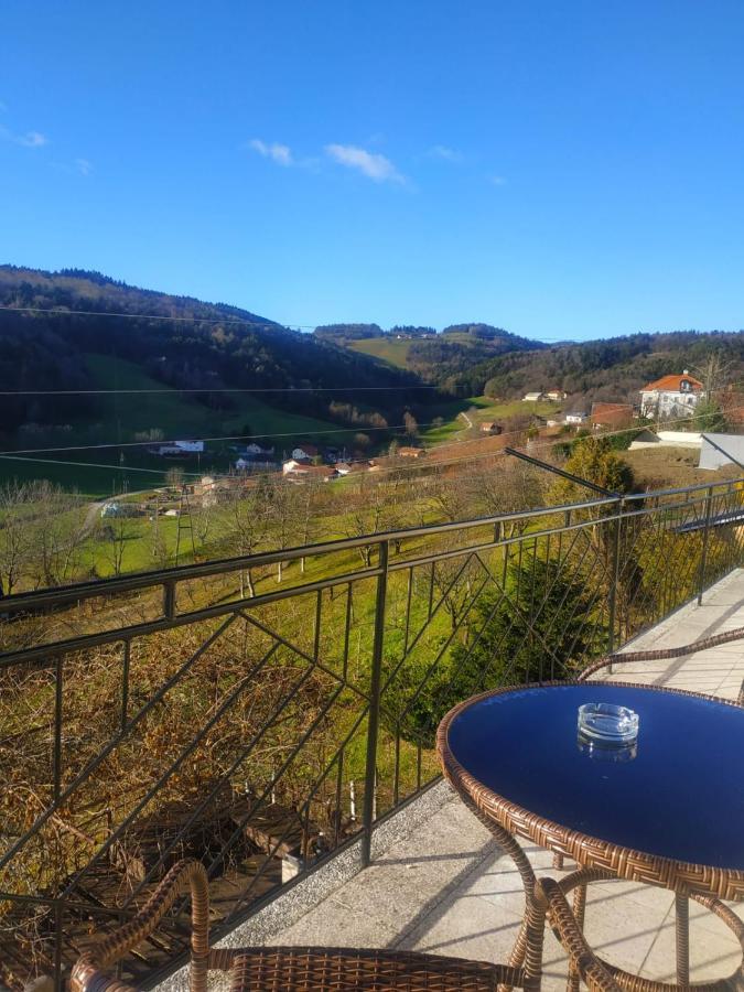 Apartmaji Sofia マリボル エクステリア 写真