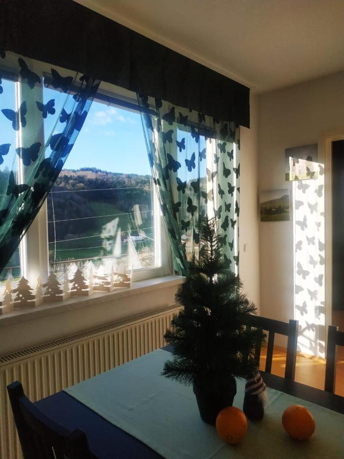 Apartmaji Sofia マリボル エクステリア 写真