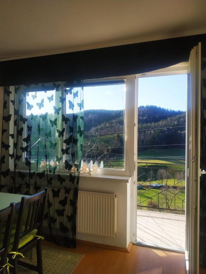 Apartmaji Sofia マリボル エクステリア 写真