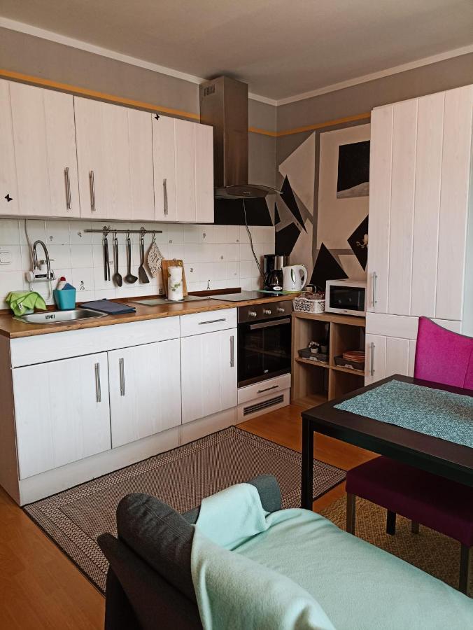 Apartmaji Sofia マリボル エクステリア 写真