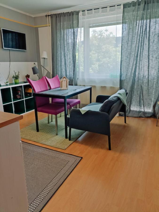 Apartmaji Sofia マリボル エクステリア 写真